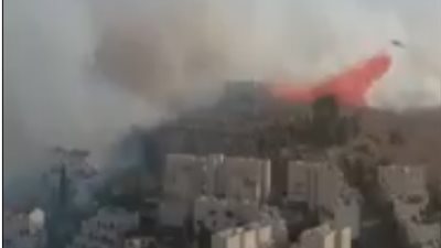 حرائق الكيان الصهيوني تلتهم جبال القدس (فيديو)