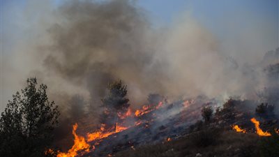 شركة الكهرباء الإسرائيلية تعلن الطواريء بسبب الحرائق.. وتدمير عشرات المنازل