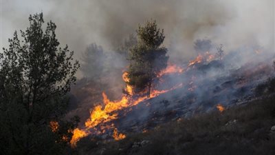 كارثة محققة تنتظرها إسرائيل بسبب الحرائق