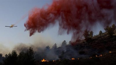 السلطة الفلسطينية: نساعد في إخماد حرائق 