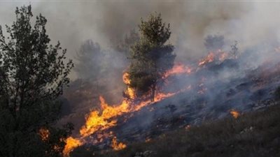 اعتقال 8 أشخاص بشبهة الضلوع في الحرائق في اسرائيل