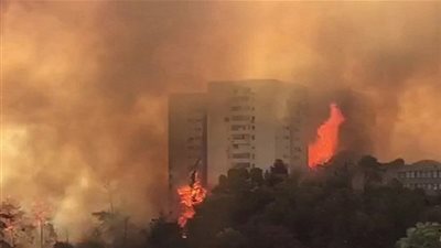 لليوم الرابع.. الحرائق تواصل التهام المنازل في اسرائيل