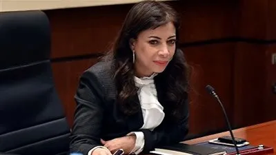 داليا خورشيد: الانتهاء من المسودة الثانية لقانون الاستثمار خلال أسابيع