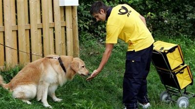 الكلاب تعض 1500 ساعي بريد في ألمانيا سنوياً