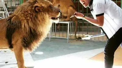 المدير الطبي لمستشفي أندلسية يكشف عن أساب وفاة ضحية الأسود بالإسكندرية 