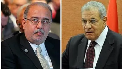 أستاذ علوم سياسية يكشف سر حب المواطنين لـ