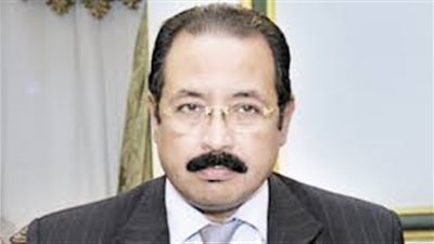 هاني رسلان: مصر تدرس إقامة منظومة لحماية البحر الأحمر مع إريتريا 