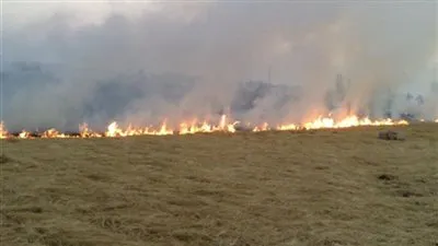 السحابة السوداء تغطي سماء الإسكندرية بسبب حرق قش الأرز