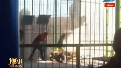 صاحب قرية الأسد: حادث إسلام شاهين 