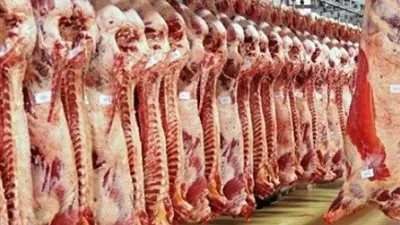 بمناسبة المولد النبوي.. الحكومة توزع 188 ألف كيلو لحوم مجانا