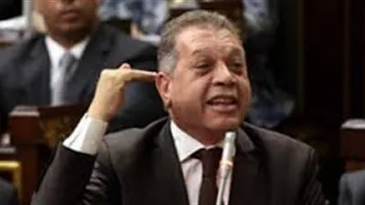 برلماني: المواطن المصري 