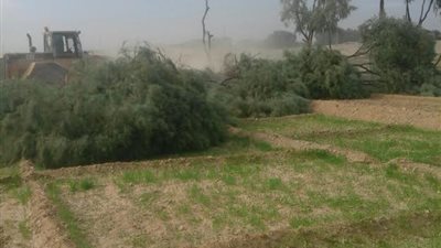 أمن قنا: إزالة 32 حالة تعدٍ للحفاظ على ممتلكات الدولة (صور)