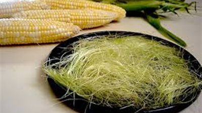 أهم وأعظم فوائد للشعيرات الحريرية في الذرة