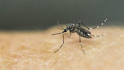 تسجيل أول حالة 