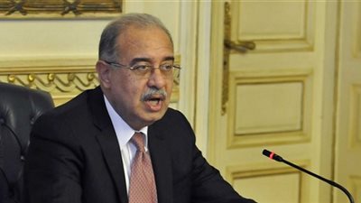 رئيس الوزراء عن أزمة الدواجن والأدوية: 