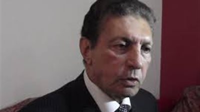 رئيس الشئون العربية بالبرلمان : العلاقات المصرية الإماراتية عميقة وتاريخية