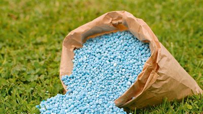 الاتحاد العام للفلاحين: قرار وزير التجارة والصناعة دمر زراعة القطن فى مصر 