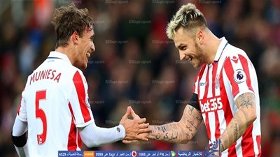 الدوري الإنجليزي.. ستوك سيتي يقهر بيرنلي بثنائية في غياب رمضان صبحي (فيديو)