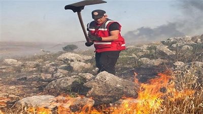 إستطلاع إسرائيلى :الحرائق الأخيرة  أثرت على التعايش السلمى  بين العرب  واليهود