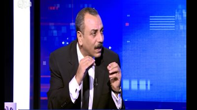 الطماوي: التظاهر السلمي وسيلة للتعبير وليس غاية