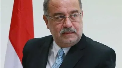 عاجل.. الحكومة تلغى قرار إعفاء الدواجن المستوردة من الجمارك 