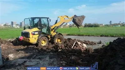 إزالة تعدي على الأراضي الزراعية بدمياط  (صور)