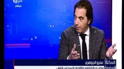 الجوهري: رفع الجمارك سيجعل الطبقة المتوسطة تصل إلى القاع