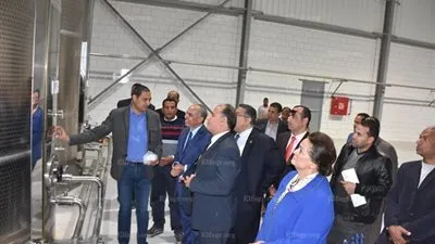 إنشاء مصنع لإنتاج 