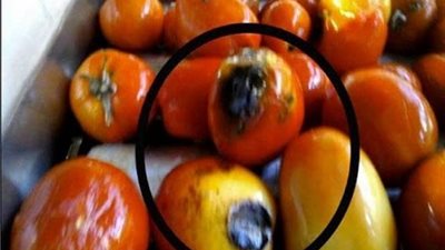 شاهد.. رد فعل 