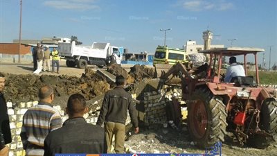 إزالة حالات تعدِ علي مساحة 9 آلاف متر أرضي زراعية وأملاك دولة بالبحيرة (صور)