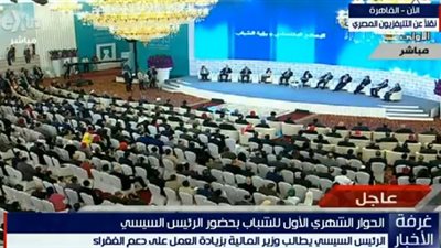 هاجر عز: 60%  من المشاركين فى حوار السيسي 