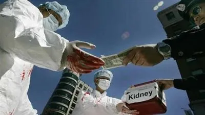 حقيقة تورط برلمانية في تجارة الأعضاء البشرية (فيديو) 