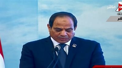 السيسي: تحديات ضخمة تواجه مصر.. وسنقضي على الفساد