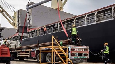 ننشر حركة تداول السفن بميناء دمياط 