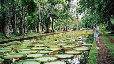 هل تعلم لماذا سميت جزر القمر بهذا الإسم؟