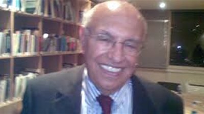 أستاذ قانون بنيويورك: أشعر بالفخر لقبض الأمن المصري على منفذ 