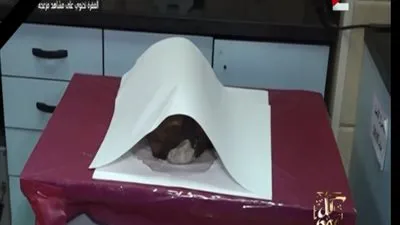 عاجل.. الأدلة الجنائية: 