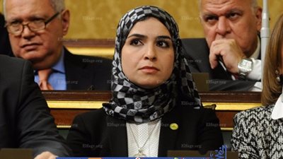 نائبة بالبرلمان تحصل على 900 ألف جنيه لتطوير مركز شباب بشبين الكوم (مستندات)