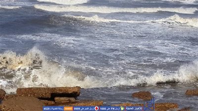 نقيب صيادين بورسعيد: 