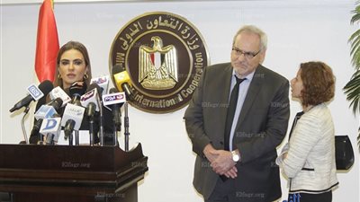 نصر: ٣ قطاعات رئيسية تدعمها مؤسسة التمويل الدولية في مصر