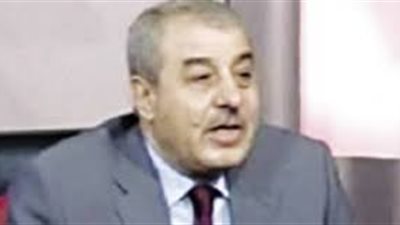 خبير أمني: الدولة تواجه تحديات تستلزم مشاركة شعبية لدعم الأمن العام