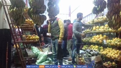 بعد شكاوى من ارتفاع الأسعار.. حملة تتفقد منذ بيع خضروات فى بلقاس بالدقهلية (صور)