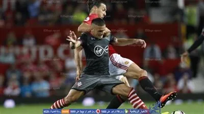 تاديتش لاعب ساوثامبتون أفضل لاعب صربي في 2016