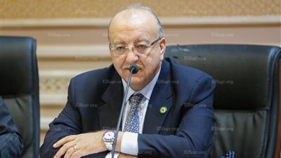 نائب: مصر تمتلك كنزًا يكفينا من العملات الأجنبية