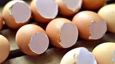 10 استخدامات غير تقليدية لقشر البيض.. تعرف عليهم !