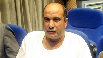 برلماني: قرار تصدير الحمير المصرية رفع سعرها.. وسيؤثر على الإنتاجية