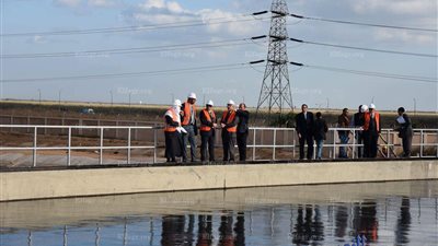 رئيس شئون البيئة بالإسكندرية: بحيرة مريوط تضم أول محطة لرصد نوعية المياه 