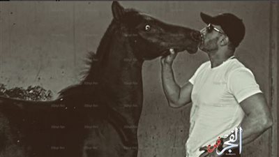 أحمد السقا يمنح وسام الفروسية لـ