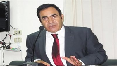 خبير اقتصادي: نقل تجارب الدول الأخري فى الاستثمار مشروط بالجودة