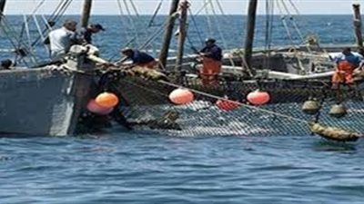 بالأسماء.. ننشر تفاصيل احتجاز 3 مراكب صيد مصرية في اليمن